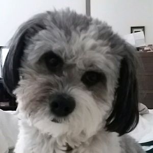 Meet your Posher, Cheryl